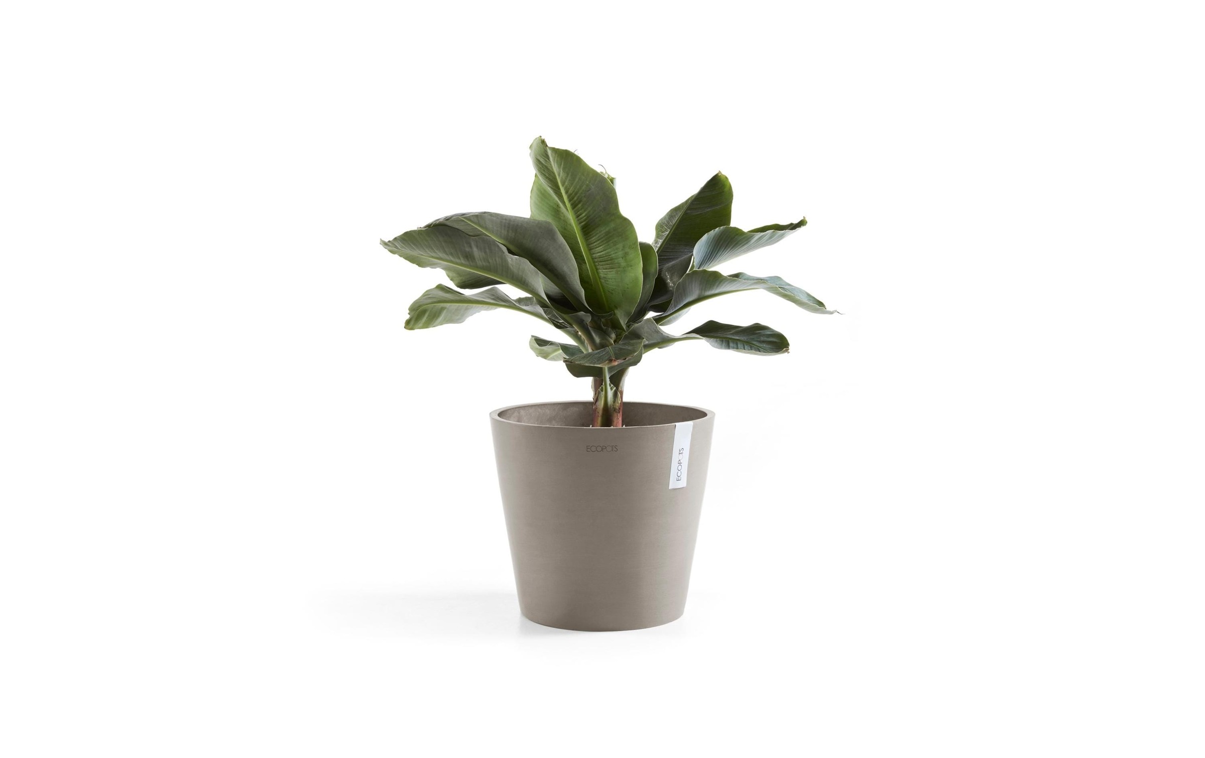 ECOPOTS Pflanzkübel »Amsterdam 30«