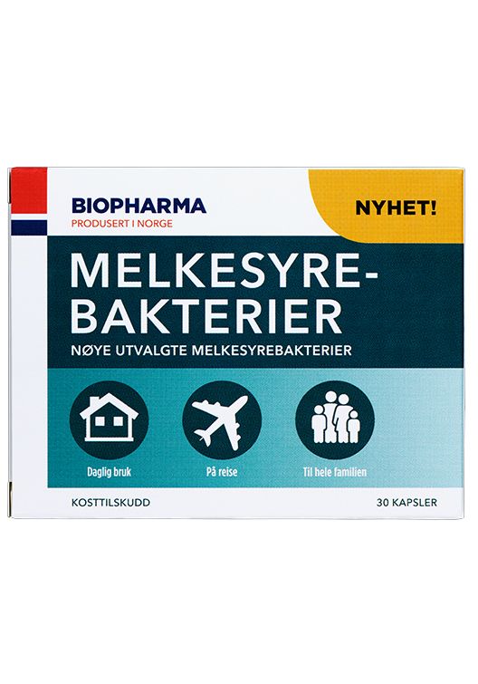 Melkesyrebakterier