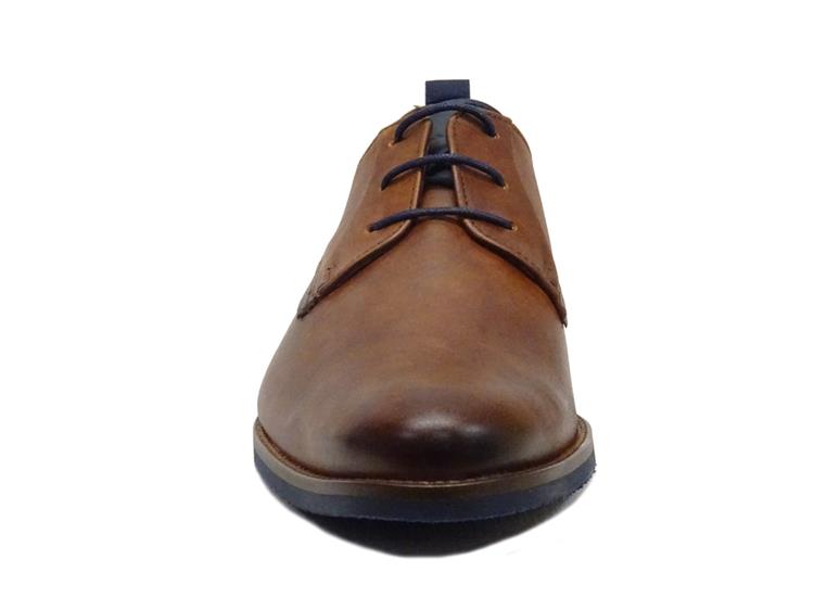Van Lier 2255392 620 Cognac