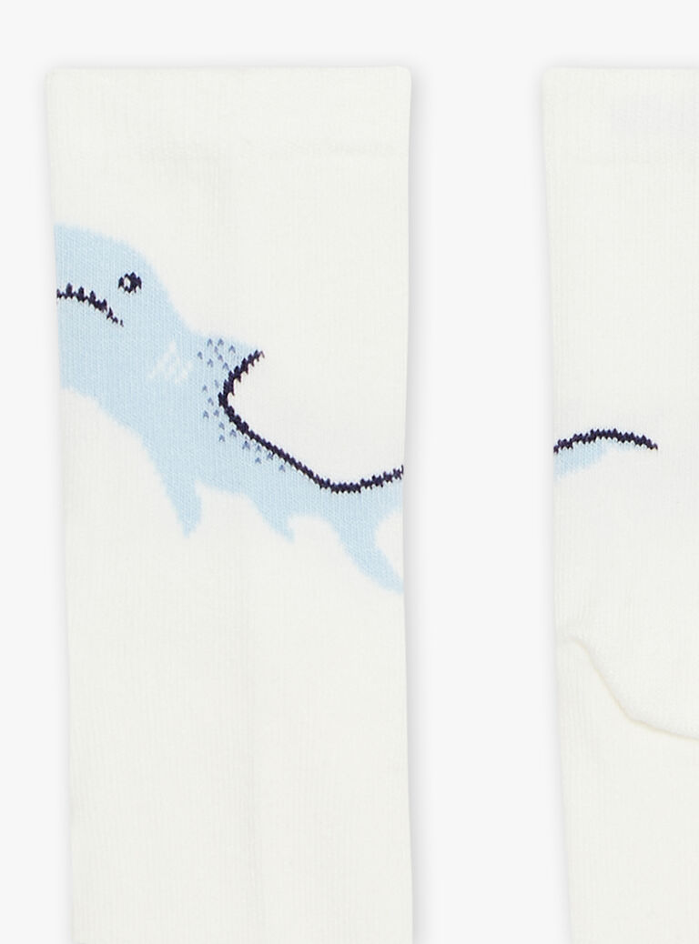 Lot de 5 chaussettes assorties