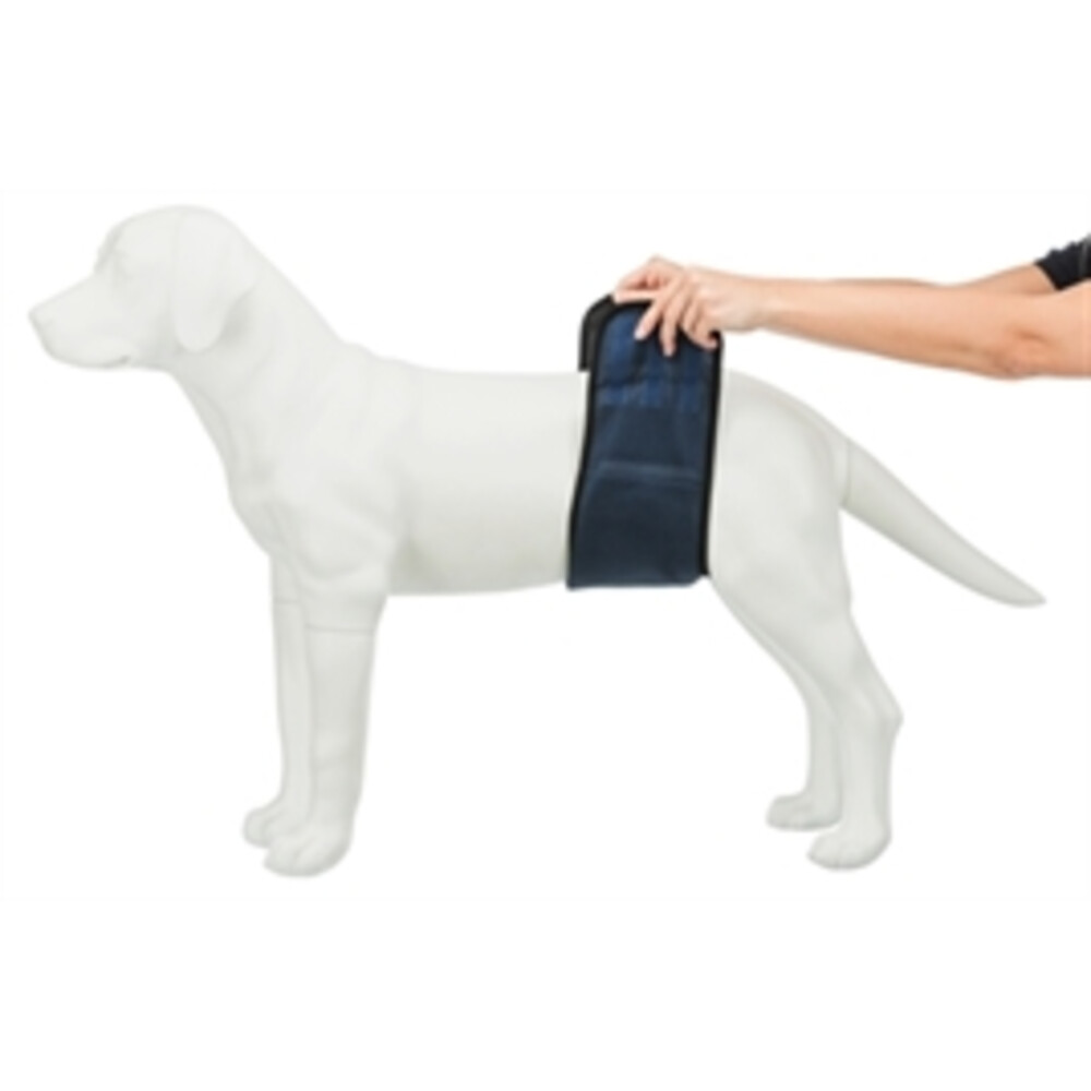 Trixie Plasband voor Reuen BlauwM 37/45 cm