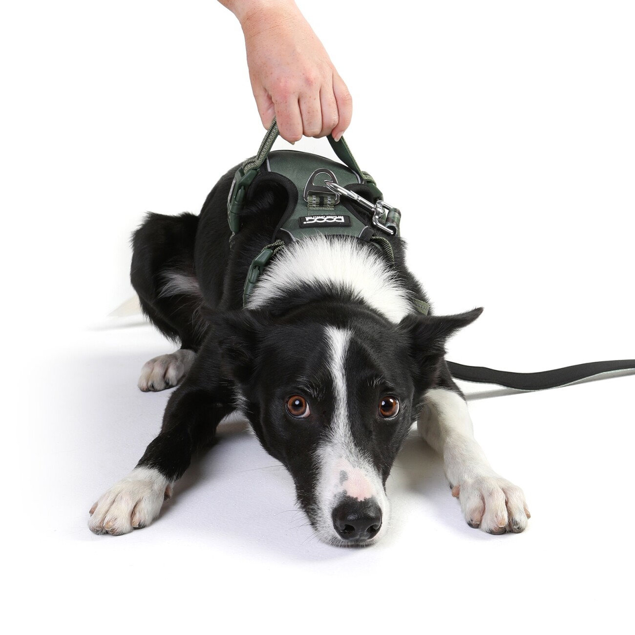 DOOG Neotech Harness GREEN S