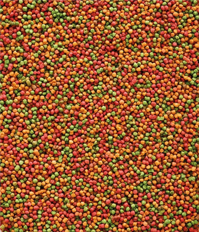Versele-Laga Nutribird B14 Parkiet Onderhoudsvoer - Vogelvoer - 3 kg