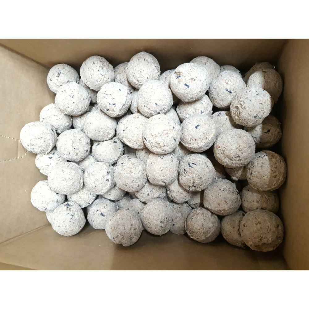 100 boules de graisse de 90 g toutes saisons pour oiseaux