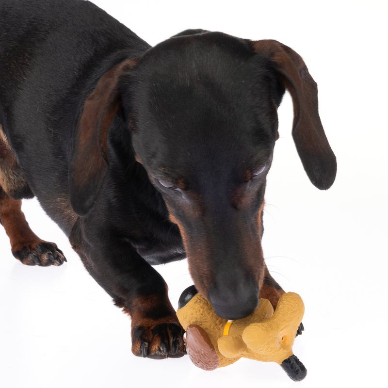 Jouet TIAKI Petit chien en latex