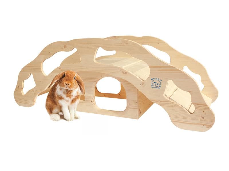 Resch Hasenhausbrücke, 90 x 33 x 31 cm Brücke mit einem integriertem Häuschen für Hasen, Kaninchen, Zwergkaninchen oder Meerschweinchen