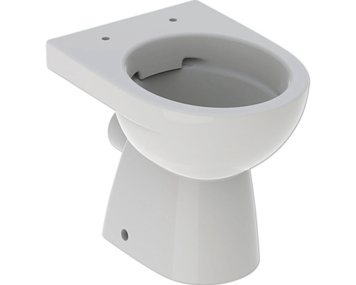 GEBERIT Renova staande wc, randloos, diepspoel, Manhattan glanzend, zonder wc-bril, 500799001