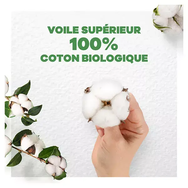 Absorventes noturnos Always Cotton Protection com abas, pacote com 8 unidades