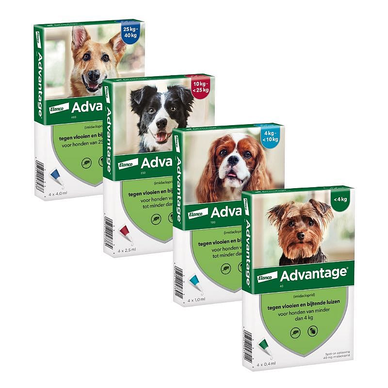 Advantage hond vlooienmiddel