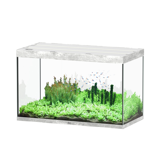 Aquarium Sublime Led 2.0 Pro Béton L.120x P.60x H.75cm