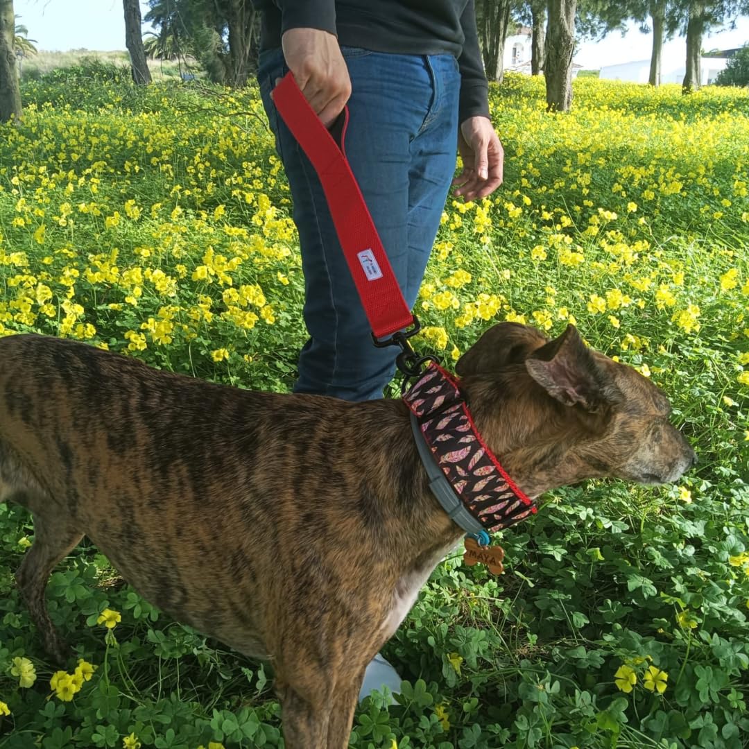 EGV - Coleira Martingale de 4 cm de largura, coleira para galgo feita à mão na Espanha (penas)