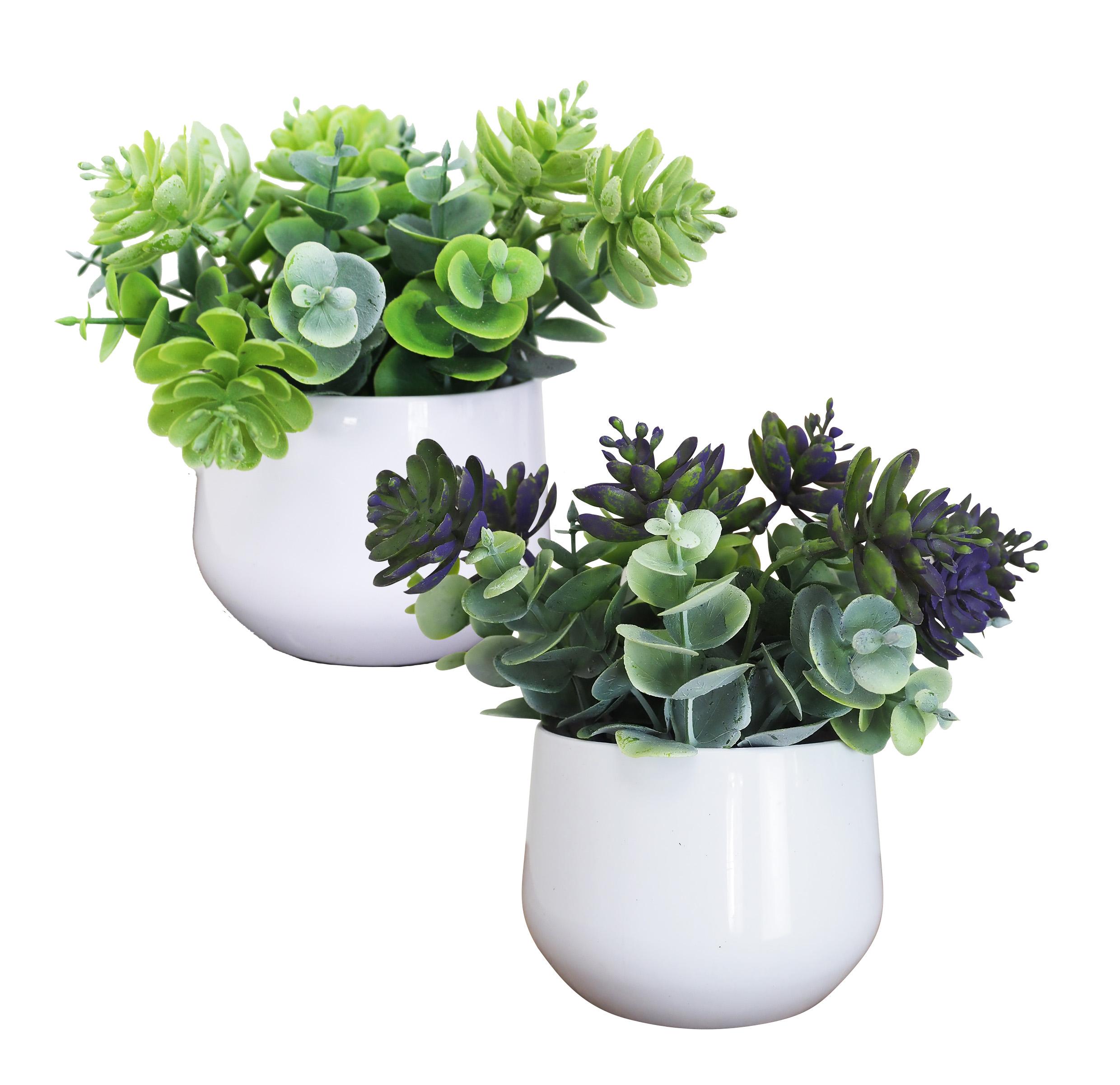 SUCCULENTE POT PLASTIQUE BLANC H.18CM