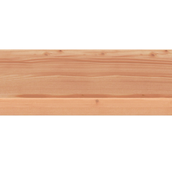 Pergola gording Douglas hout 6,5 x 14 x 300 cm