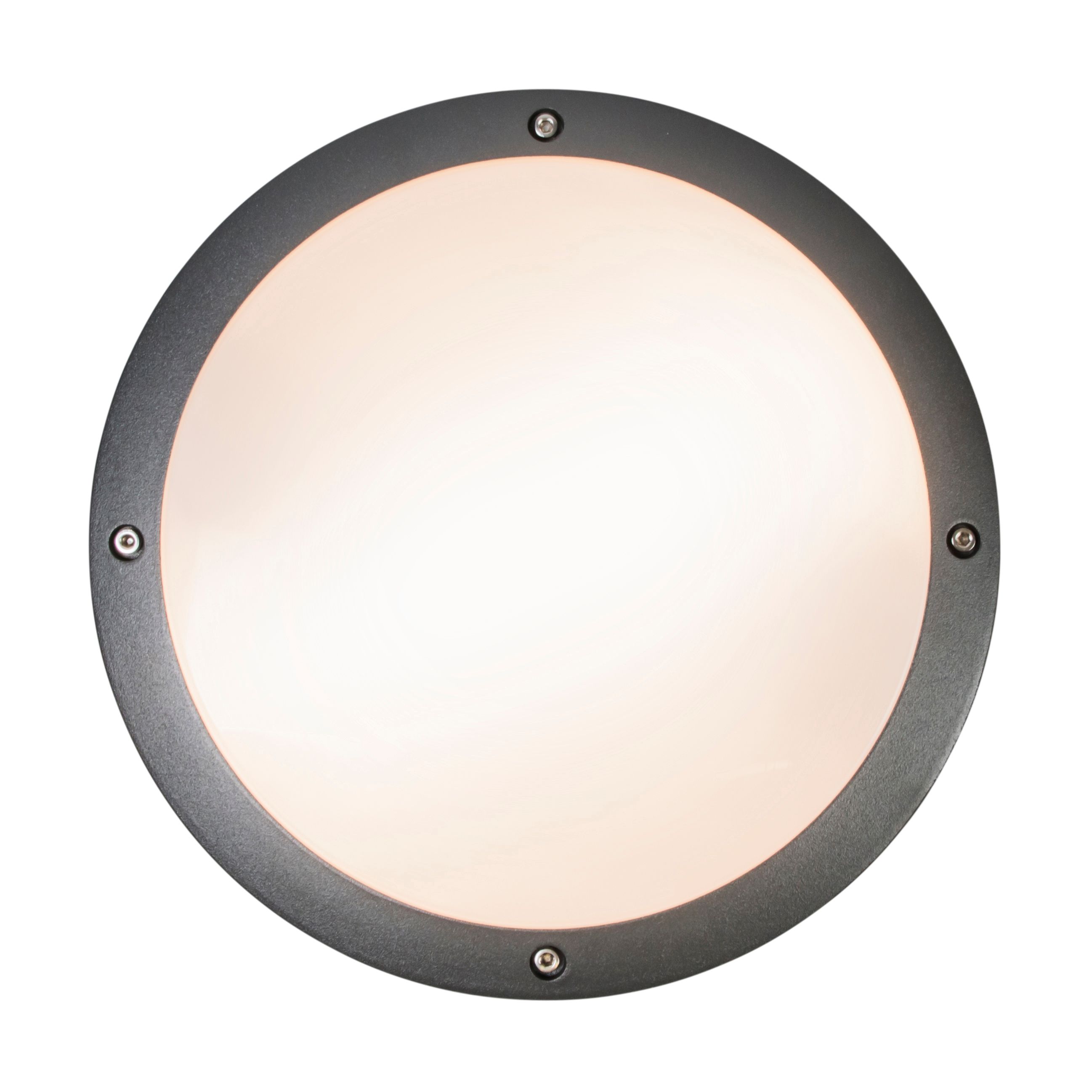 Wand- en plafondlamp donkergrijs 2-lichts IP54 - Glow