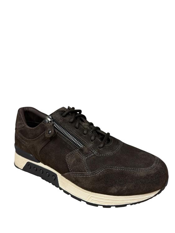 Greve 4299.30 2930 Quinoa suede