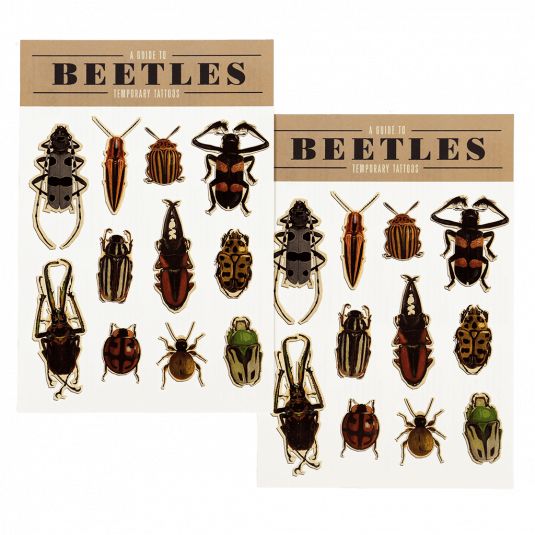 Tatouages temporaires insectes Rex London