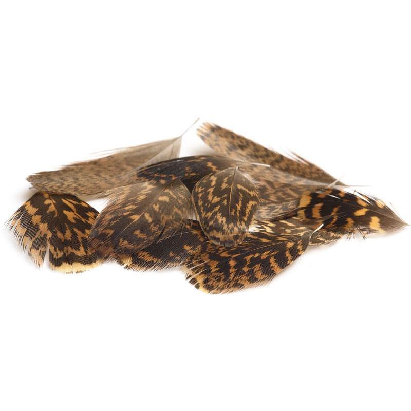 Grouse Devaux