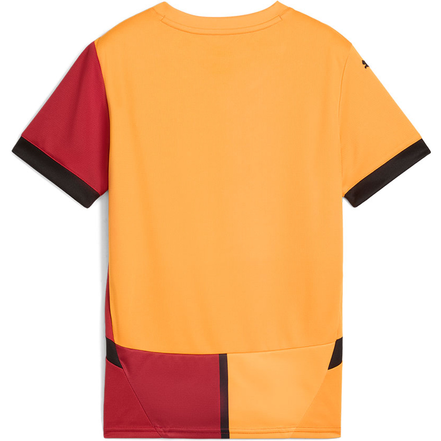 Puma Galatasaray Thuis Shirt Kids 2024/2025