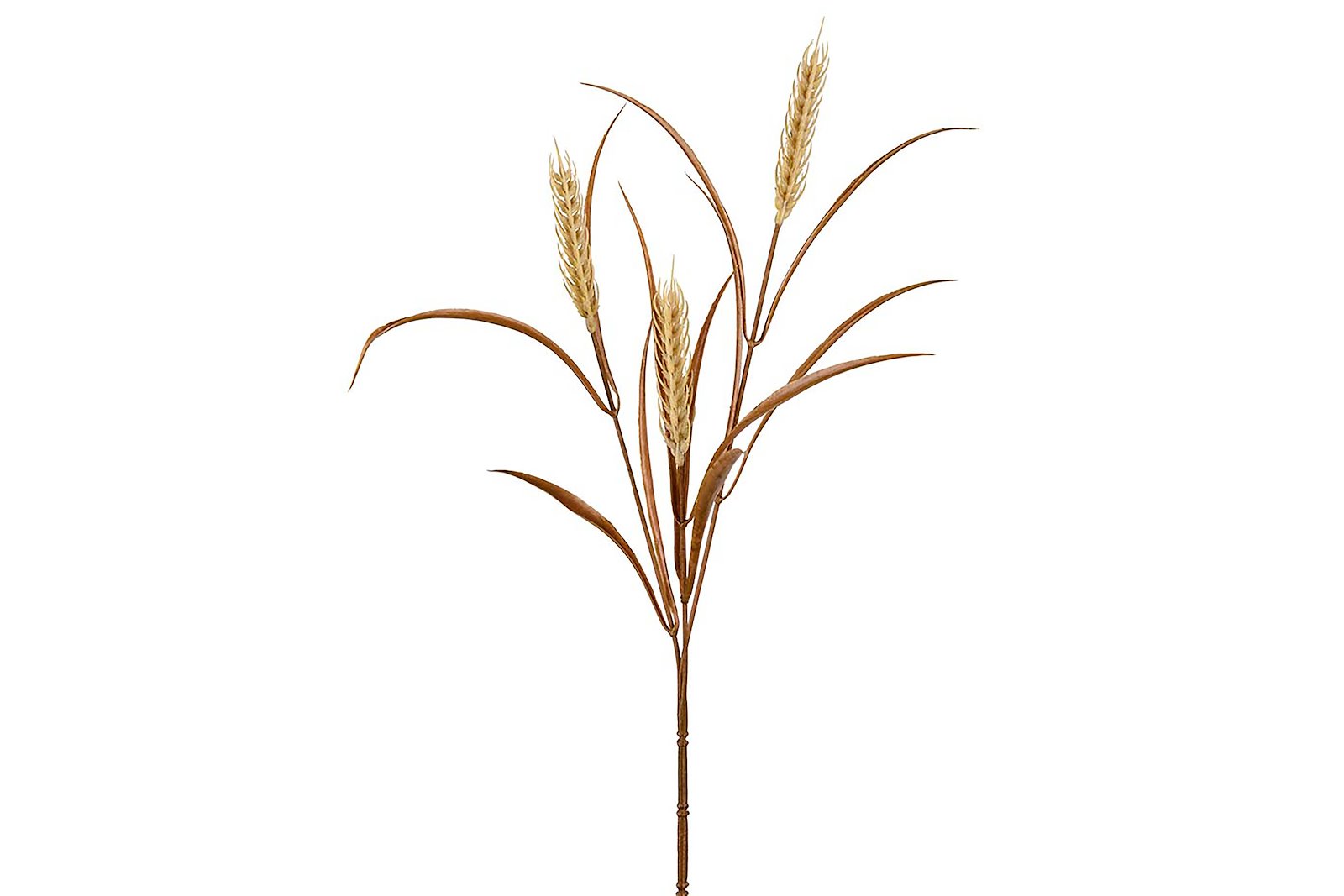 Hvete stilkblomst Lys brun H65 cm