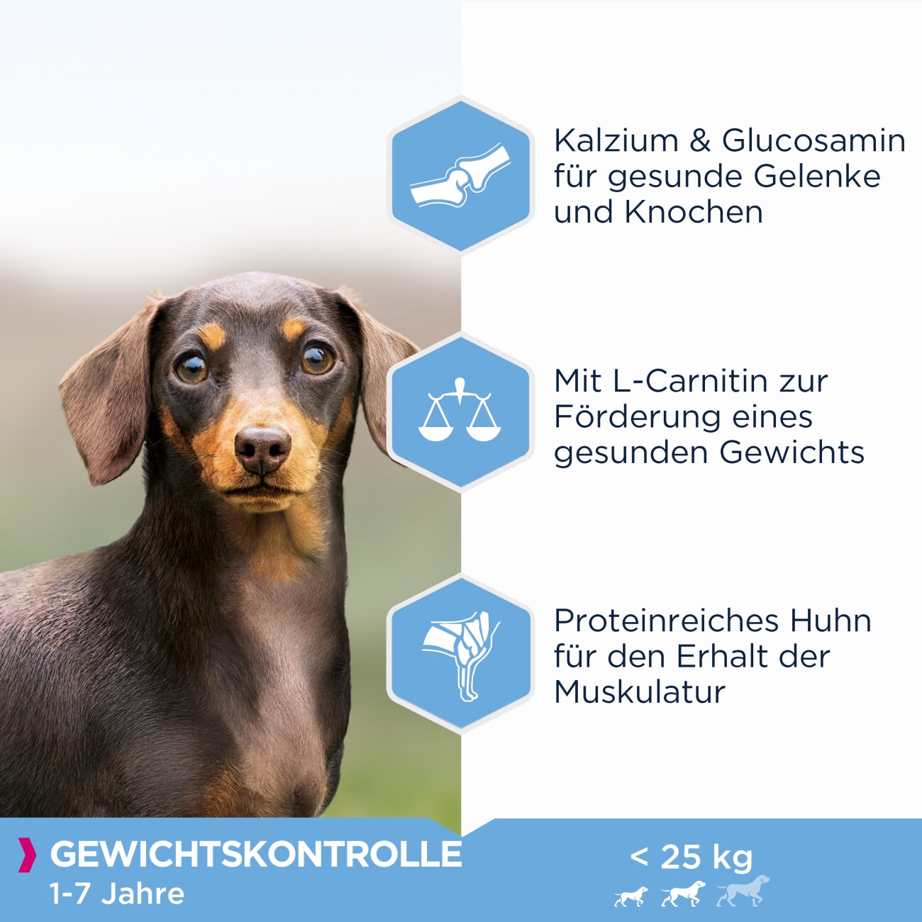 EUKANUBA Trockenfutter Hund Weight Control Medium Breed Adult 15 kg