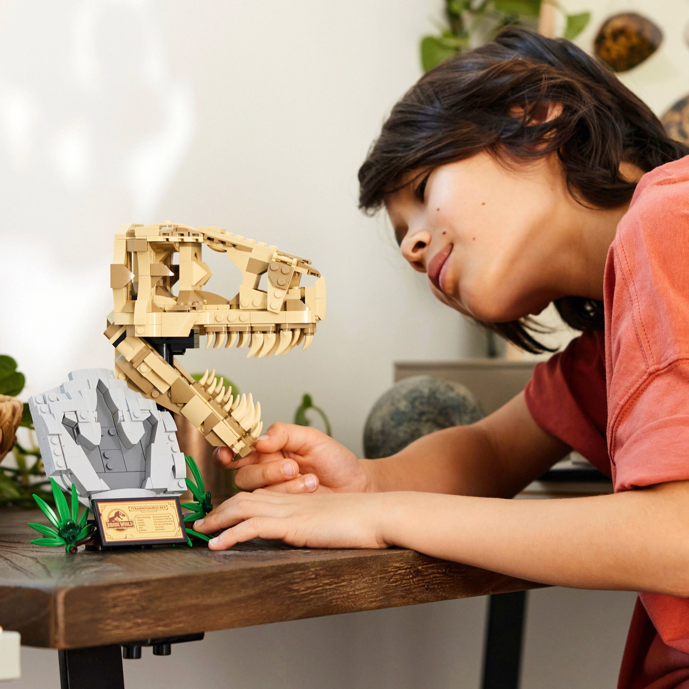 LEGO® - Jurassic World™ 76964 Dinosaurier-Fossilien: T.-rex-Kopf