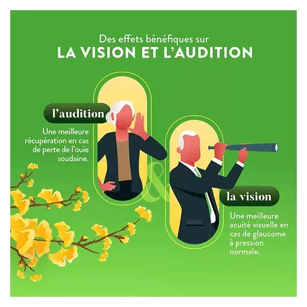 Nutri&Co Ginkgo Biloba Stimulant Cognitif Mémoire & Vision 120 gélules Vegan