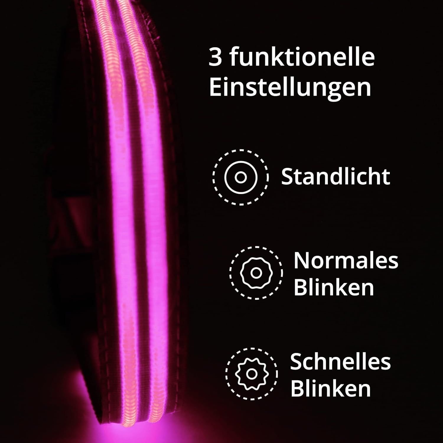 PETSATION Leuchthalsband Hundehalsband