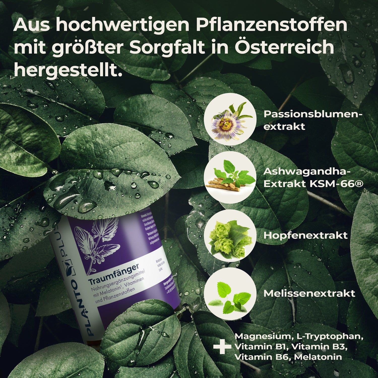 PLANTOPLUS Traumfänger Kapseln mit Melatonin