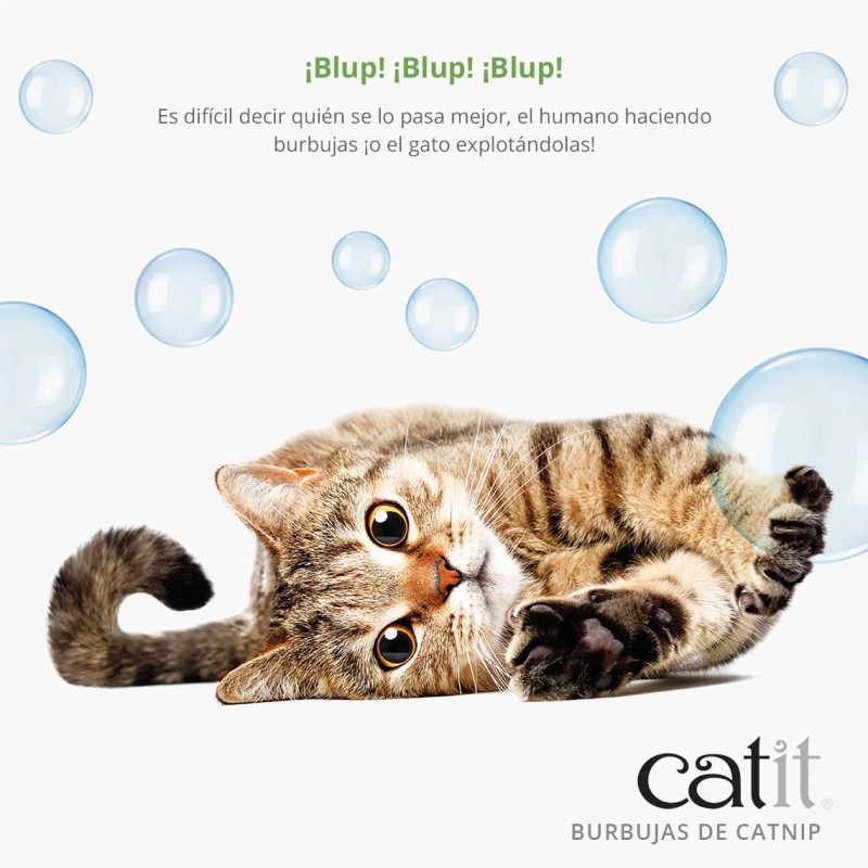 Catit Catnip em Bolhas