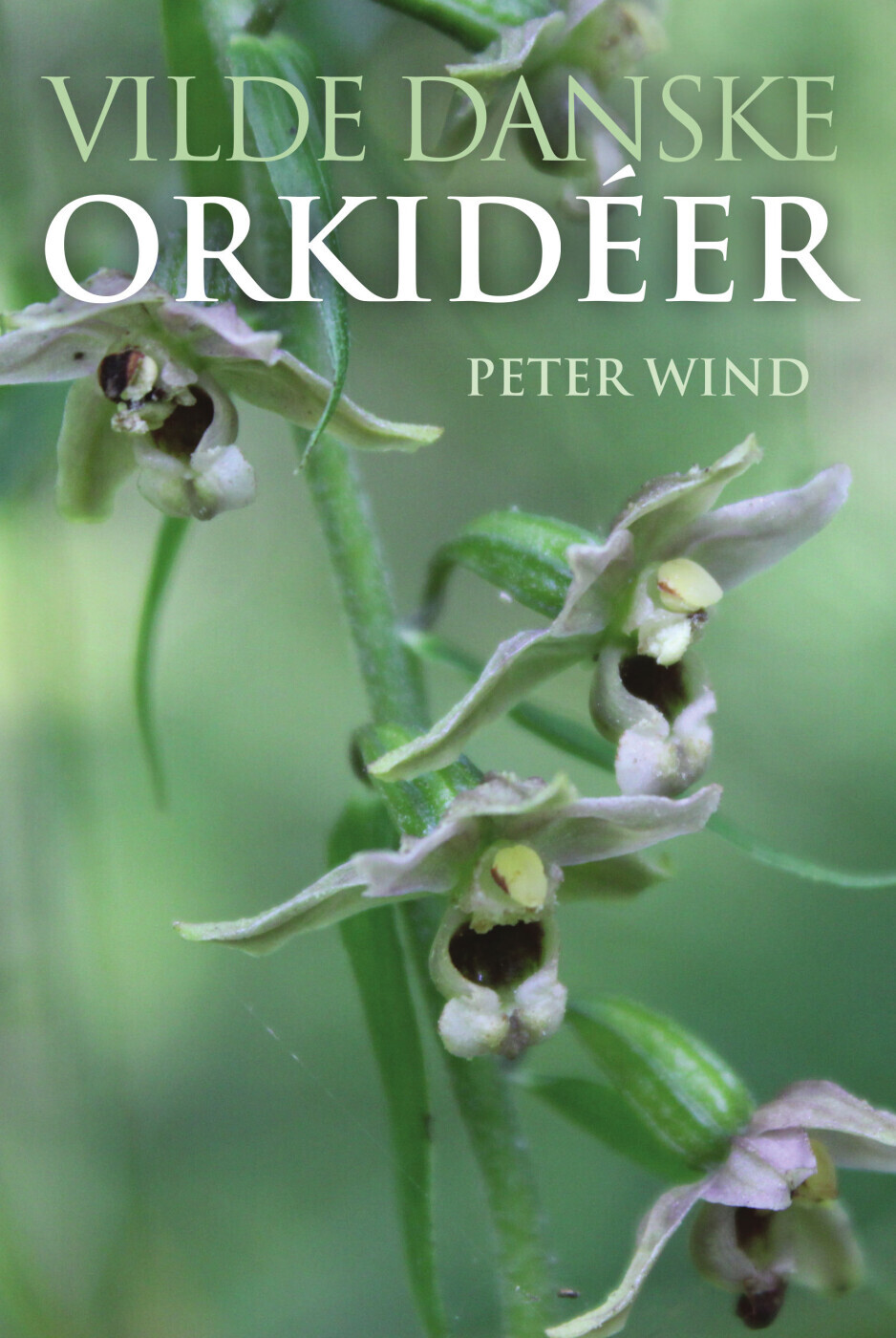 Vilde Danske Orkidéer - Peter Wind - Bog