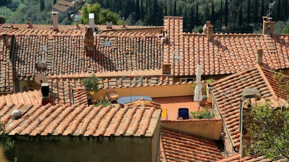 Antimousse concentré 3t 5 litres à diluer 1000 m² de traitement toit mur et sol