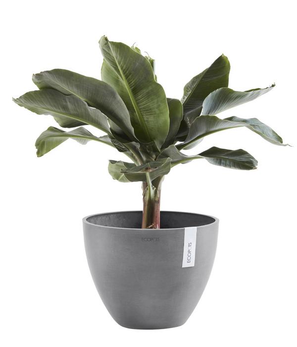Ecopots Kunststoff-Topf Antwerp, rund