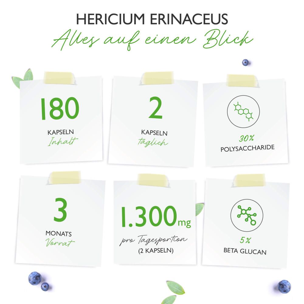 vit4ever Hericium Erinaceus Intenso Pilz