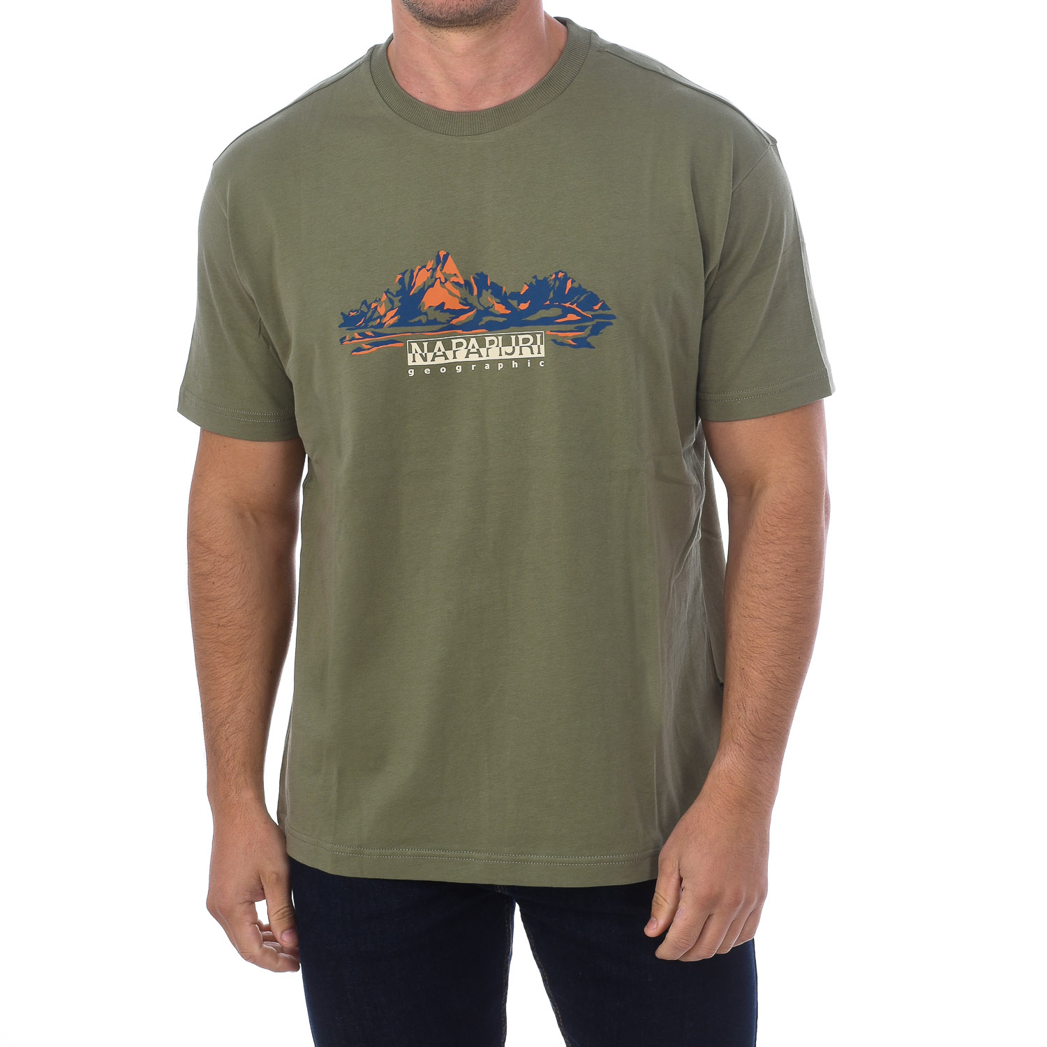 Camiseta S-backcountry Ss Np0a4gm1