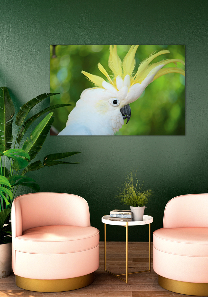 Akustikbild KAKADU 80x120cm, 7kg