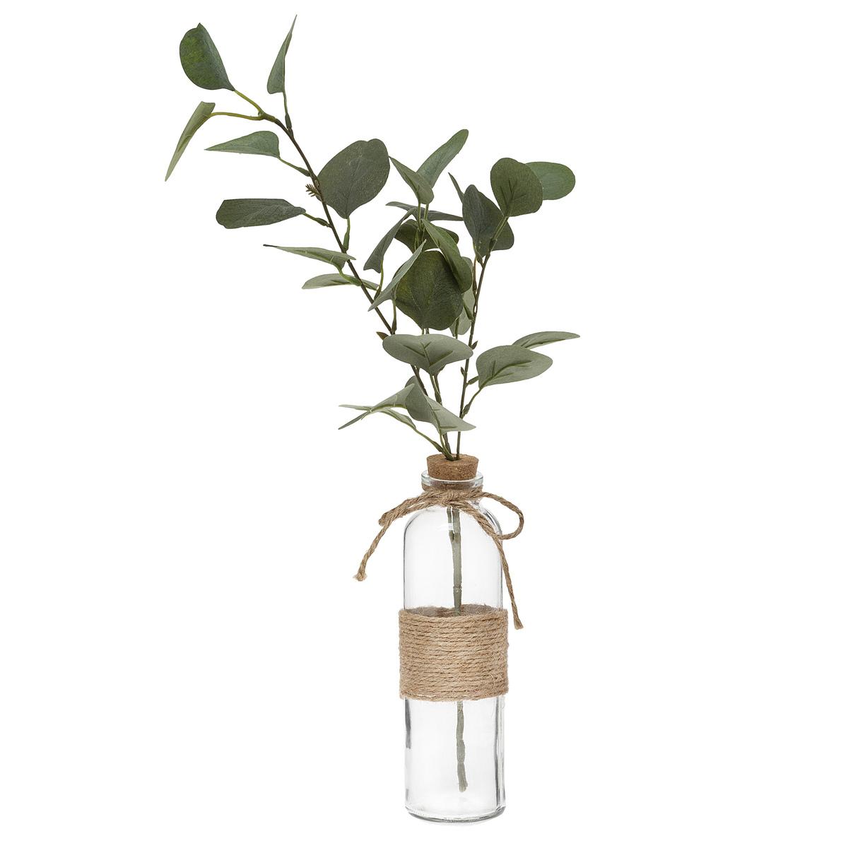 VASE EUCALYPTUS ET CORDE H.45CM