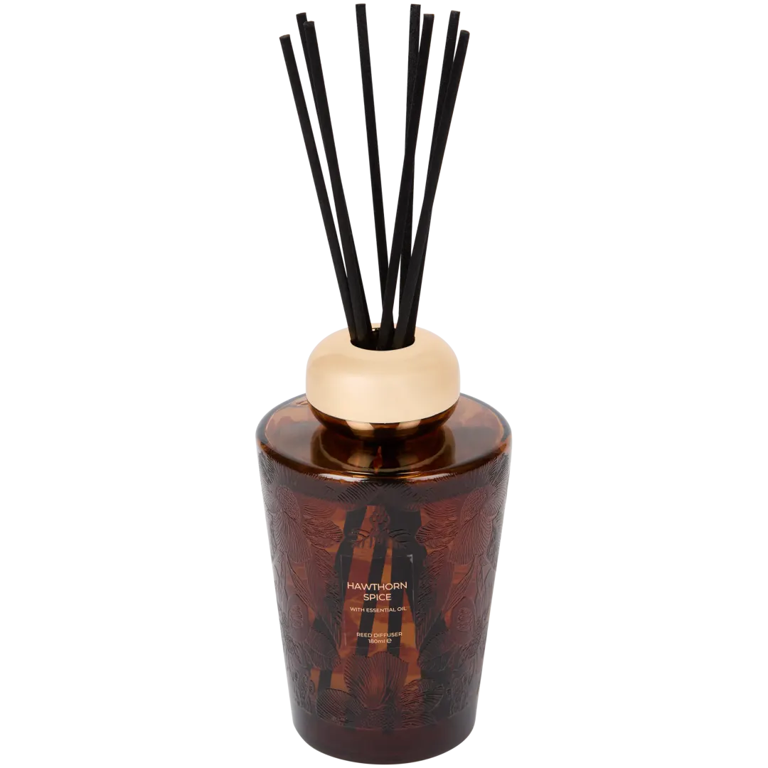 Diffuseur de parfum à bâtonnets