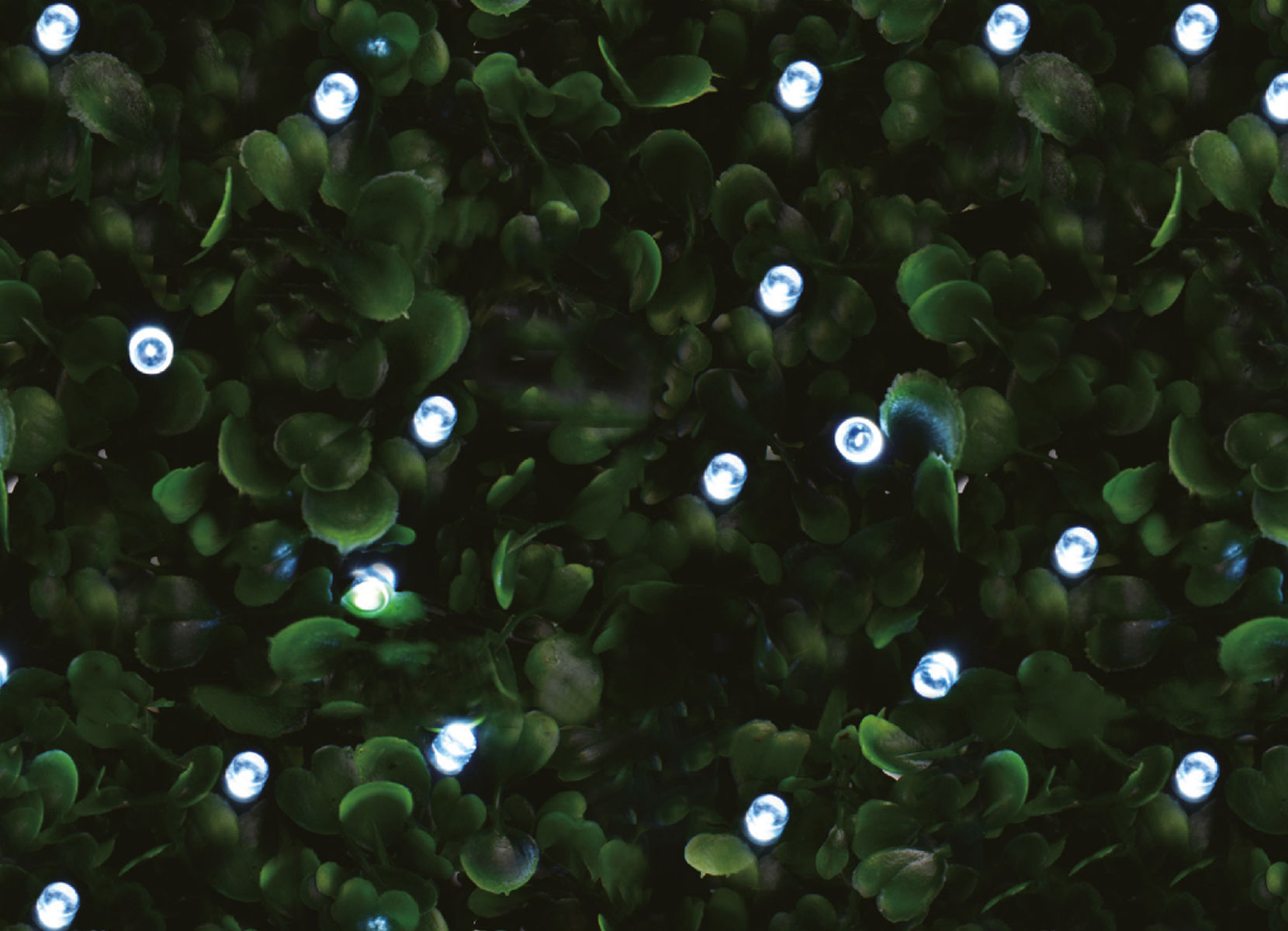 Solar-Lichterkette 6,1m 50 LEDs Kaltweiß