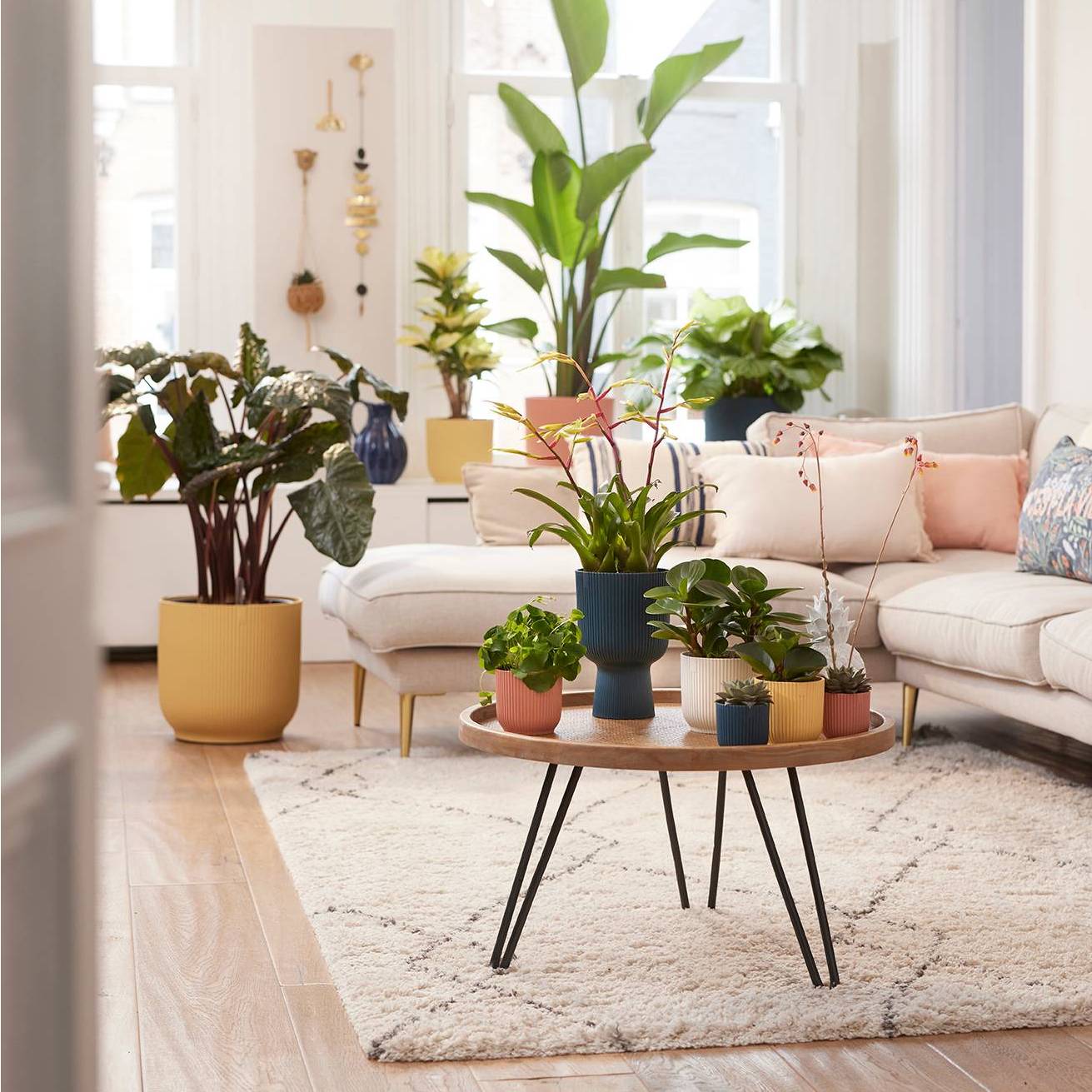 elho Vibes Fold Bloempot Ã 35 cm met Wielen