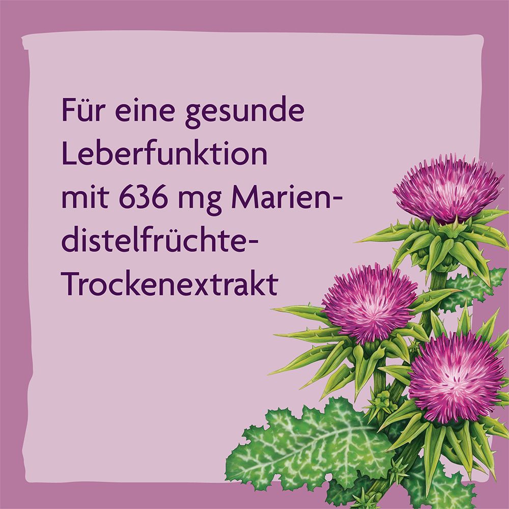 Salus® Alepa® Mariendistel Bio-Leber-Tonikum