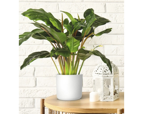 Lora bloempot Ø 25,2 cm H 22,8 cm kunststof wit