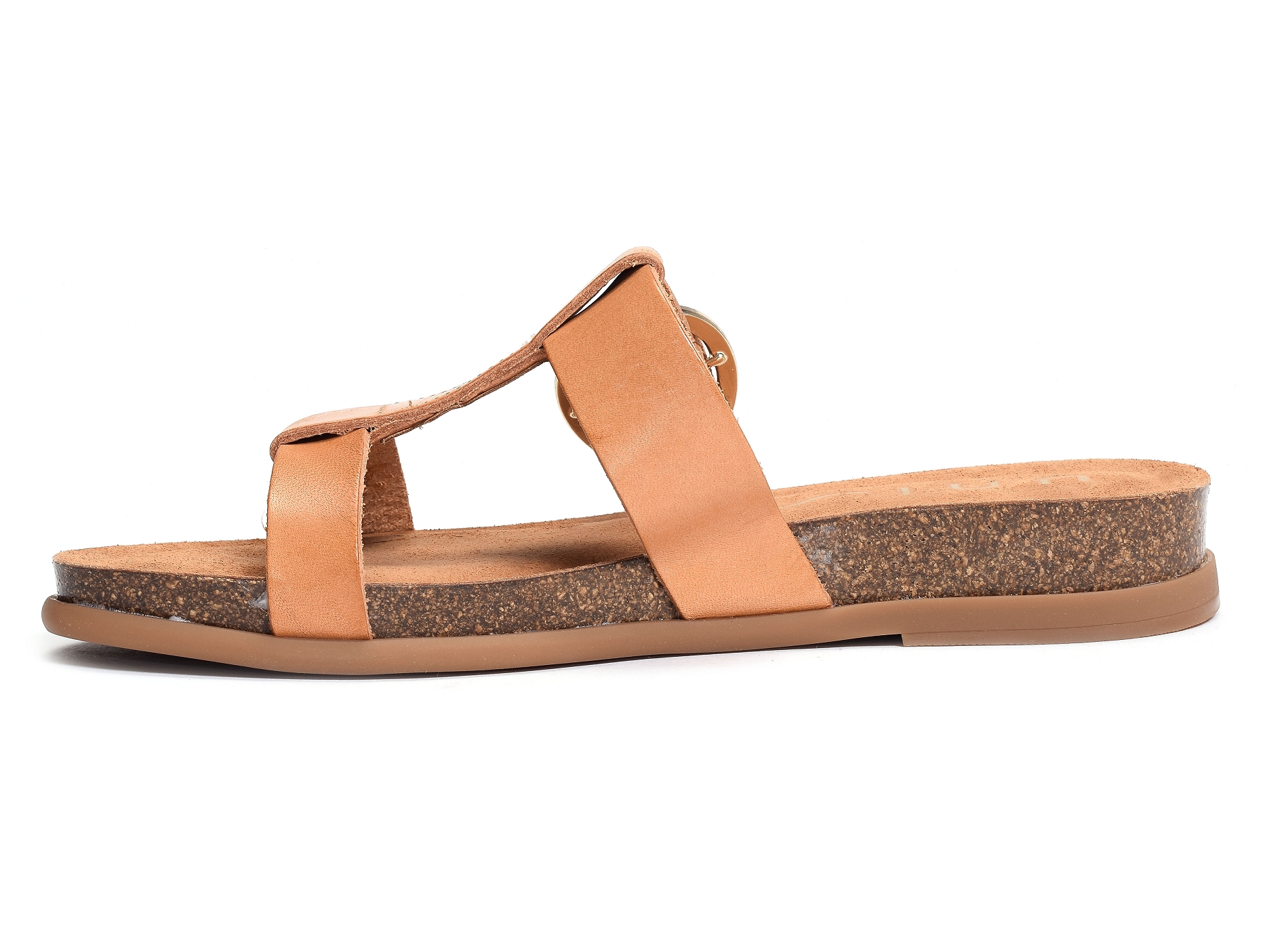 Civeta camel