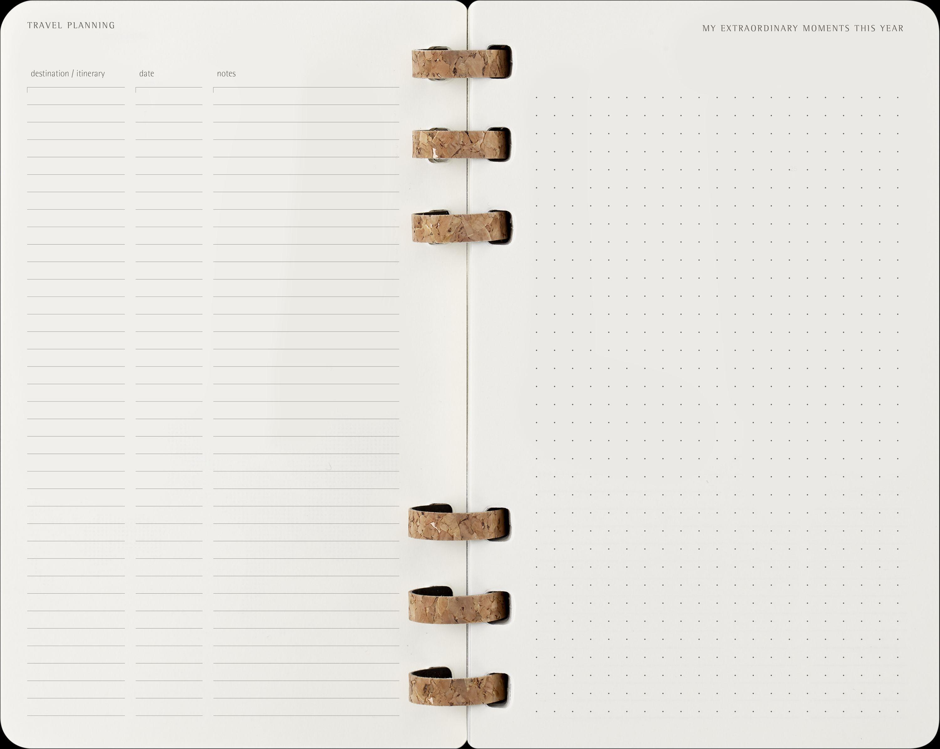 Moleskine 12 Monate Planer mit Spiralbindung, L/A5