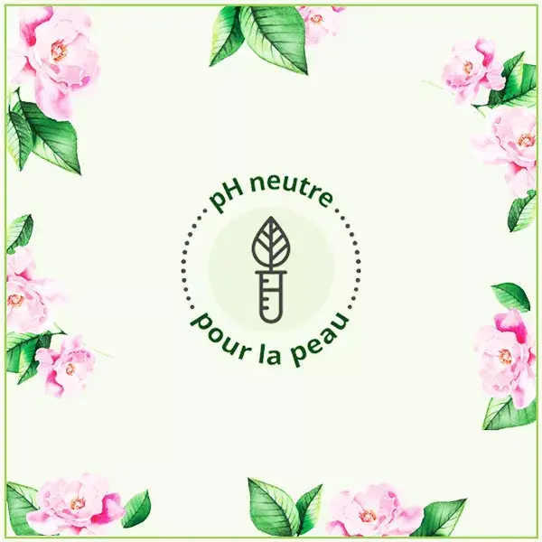 Le Petit Marseillais Gel de banho hidratante orgânico Wild Rose Eco-Refil 250ml