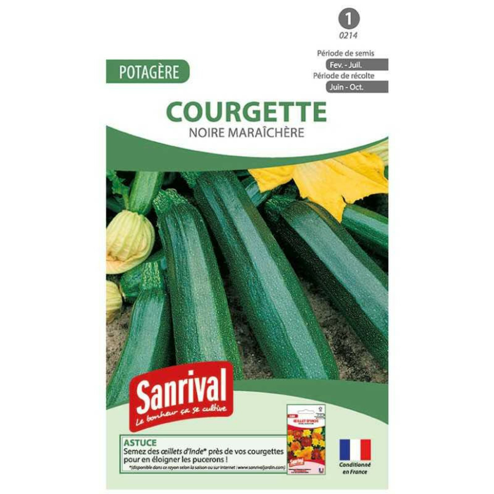 Graines de courgettes