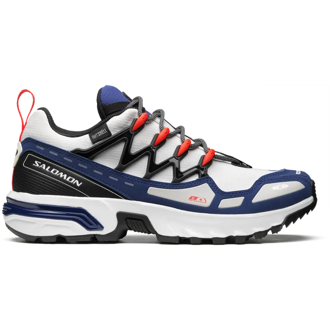 ACS+ CLIMASALOMON™ WATERPROOF  Sportliche Schuhe Unisex