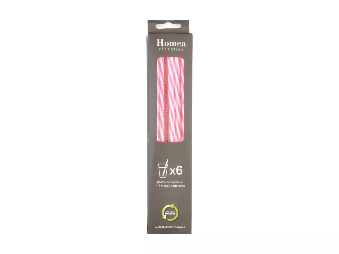 Lot de 6 Pailles & Brosse 