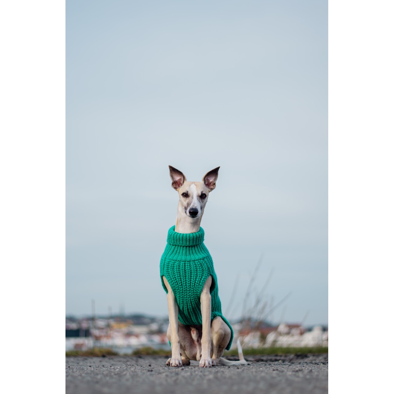 Paikka Knit Sweater green 40 cm