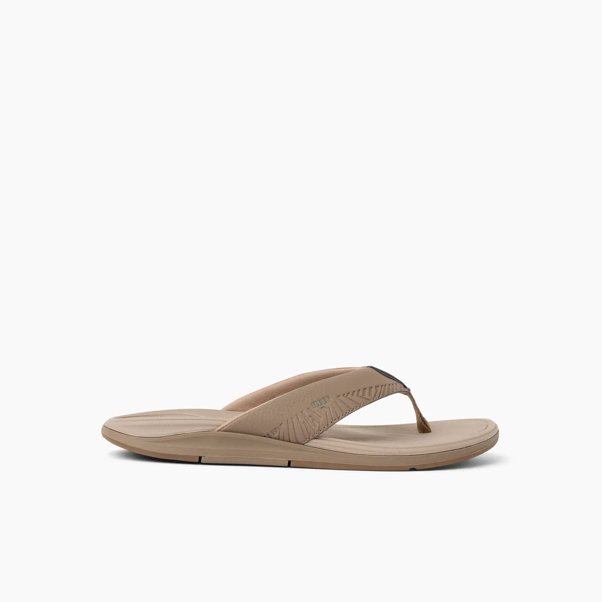 Offshore Fossil Tan