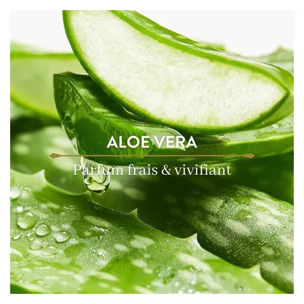 Le Petit Olivier Desodorante Frescor - Aloe Vera - 75 ml
